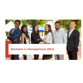 Bachelor in Management (BSc)